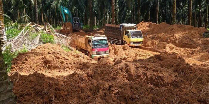 Ada Galian C Diduga Ilegal di Lahan HGU PT.SWP. LSM LAKI Beltim Angkat Bicara