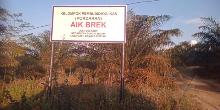 Kades Melabun Bungkam Terkait Tempat Penggorengan Timah di AIK BREK, Katua LNPPAN Babel Angkat Bicara