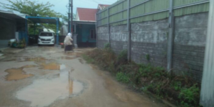 Developer Wajib Sediakan RTH, Justru di Perumahan Genio City Residence Bikin Tempat Tambak Udang