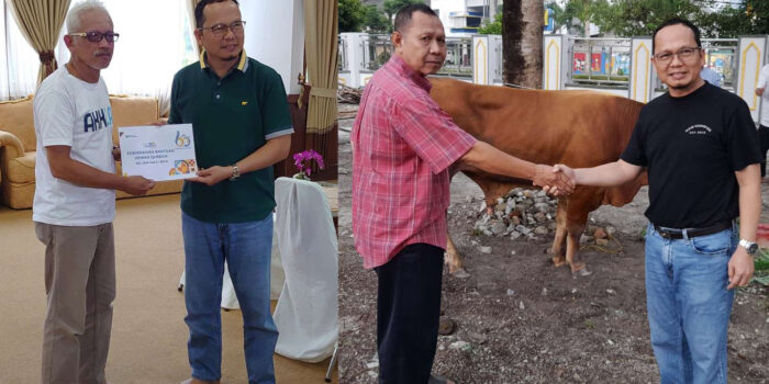 Bupati Bangka Tengah Algafry Serahkan Sapi Kurban ke Masjid Jami Koba