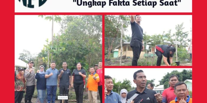 Rangkaian Kegiatan Gule Kabung, PJ.Gubernur Babel Menanam Alpukat Secara Simbolis  