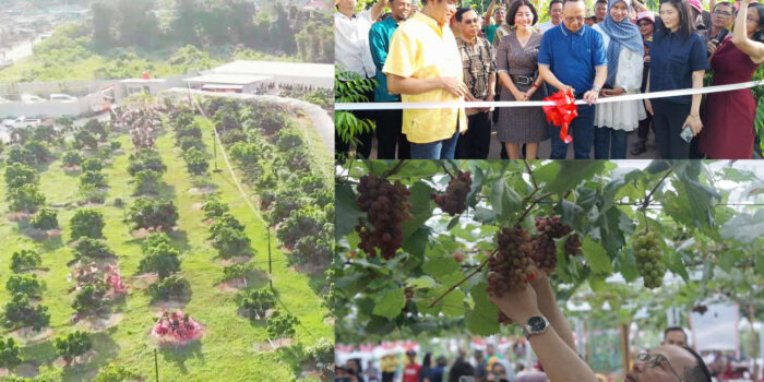 Agrowisata Sky Dragon Gate Farm Diresmikan, Algafry Apresiasi Mimpi Yohanes yang Menjadi Nyata