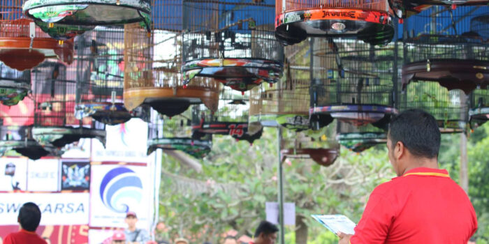 Festival dan Lomba Seni Burung Berkicau Imlek Cup 2573/2574 Bersama Bupati Bangka Tengah
