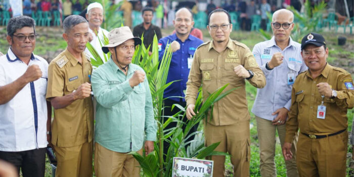 Meningkatkan Produktivitas, Bupati Algafry Penanaman Benih Kelapa Sawit