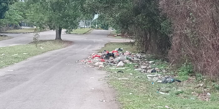 Seram !! Area Perkantoran Pemprov Babel  Banyak Sampah Berserakan