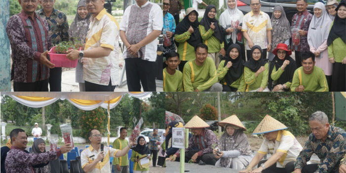 Dukung Program Semarak Babel,Petani Bateng Tanam 50.000 Bibit Cabai Merah 