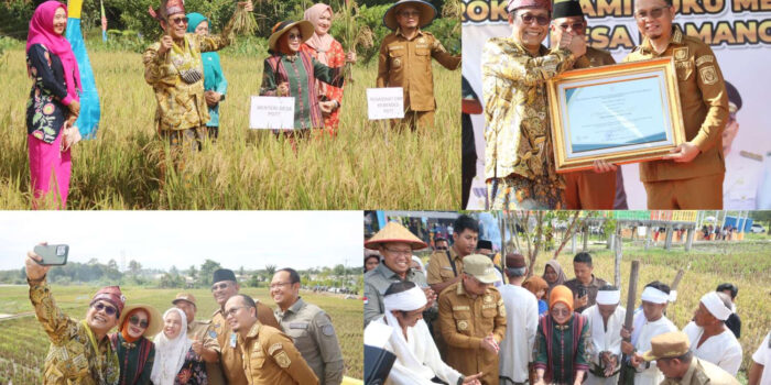 Mendes PDTT RI Saksikan Langsung Pesta Adat Murok Jerami Suku Mengkanau Urang Namang