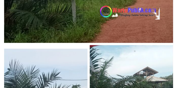 Punya Kebun Sawit Belasan Hektar, Kadis PUPR Babel Diduga Belum Lapor ke LHKPN
