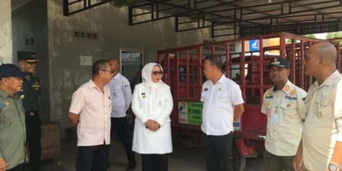 Pj Wako Pangkalpinang Monitoring Ketersediaan Gas LPG 3 Kg