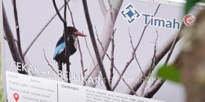 Lestarikan Keanekaragaman Hayati , PT Timah Bersama Alobi Foundation Rehabilitasi Ratusan Satwa 