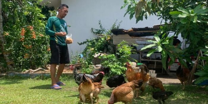 Dukung Program Ketahanan Pangan, Penghuni Komplek Perumahan Unmet PT Timah Manfaatkan Pekarangan