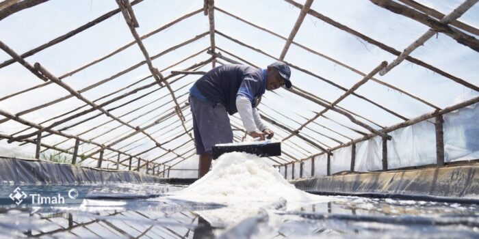 KUPS Garam Mudong Lestari Bangkit Berkat Dukungan PT Timah Tbk