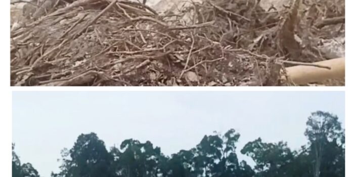 Diduga Excavator Obrak Abrik Hutan Produksi di Sungai Biru Marapit 
