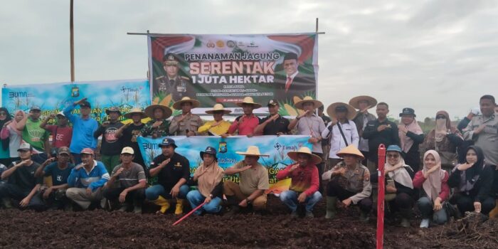 Wujudkan Ketahanan Pangan, PT Timah Bersama Polsek Kundur Utara/Barat Dukung Program Tanam Satu Juta Pohon Jagung