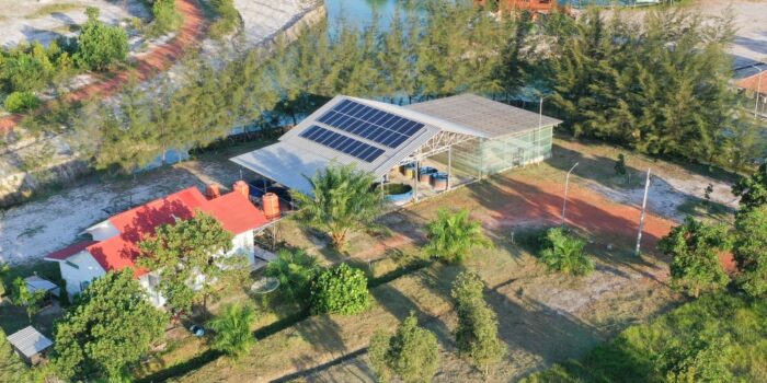 Langkah PT Timah Dalam Mengakselarasi Dekarbonisasi untuk Masa Depan Berkelanjutan