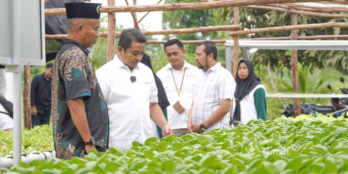 Dorong Pemberdayaan Ekonomi Lokal, PT Timah Gerakkan Program Hidroponik Bagi Kelompok Perempuan 