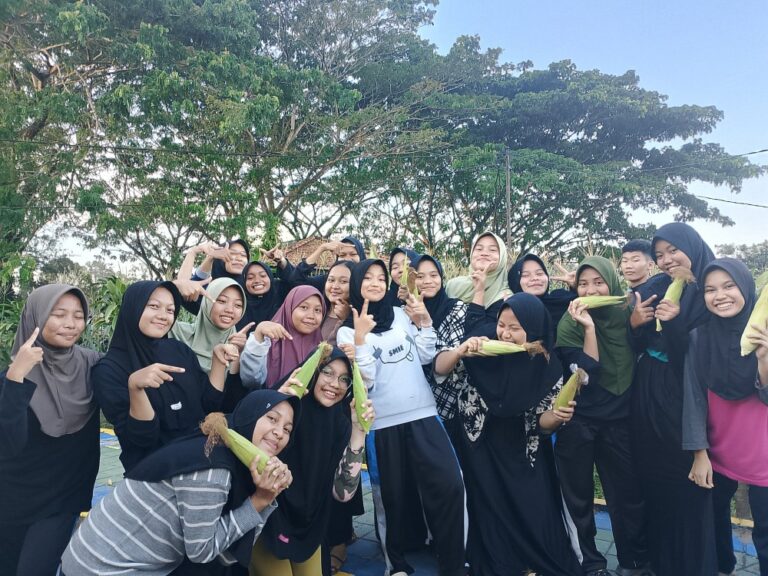 Dukung Ketahanan Pangan, Pondok Pesantren Siswa Pemali PT Timah Panen Jagung