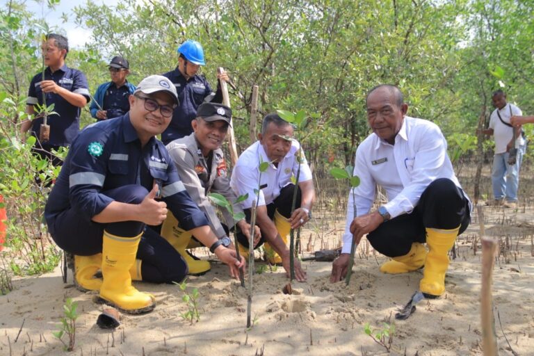 PT Timah Tanam 2.500 Bibit Mangrove di Karimun untuk Dukung Kelestarian Lingkungan