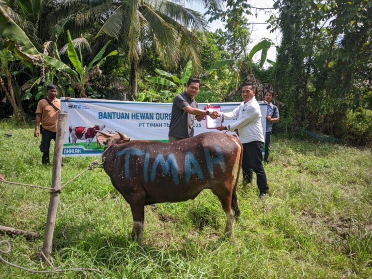 Jelang Idul Adha 1446 H, PT Distribusikan Hewan Kurban Ke pulau Terpencil