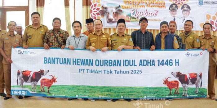 Bupati Algafy  Apresiasi Terhadap PT Timah Konsisten Berbagi Hewan Kurban 