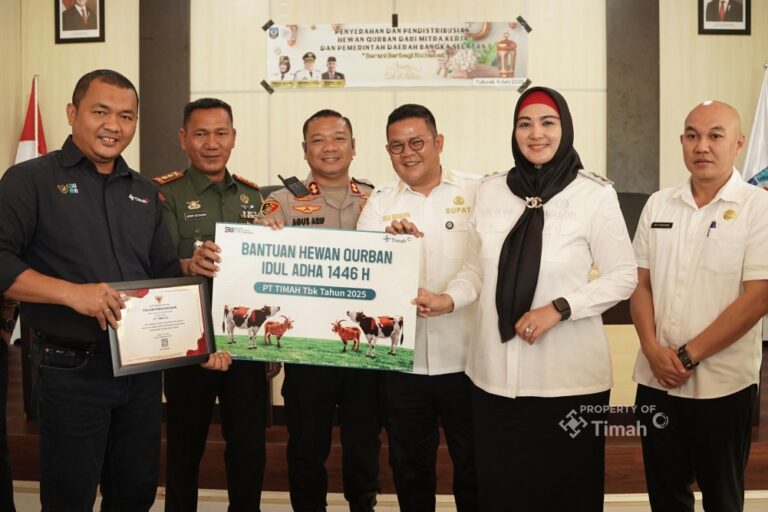 Sambut Idul Adha, PT Timah Salurkan 30 Sapi Kurban ke Masyarakat Bangka Selatan