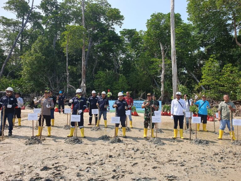 Peringati Hari Lingkungan Hidup Sedunia, PT Timah Tanam Ribuan Pohon Manggrove