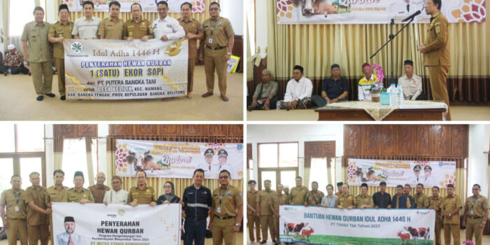 Jelang Idul Adha 1446,Pemkab Bateng Terima Bantuan Sapi Kurban Sebanya 63 Ekor