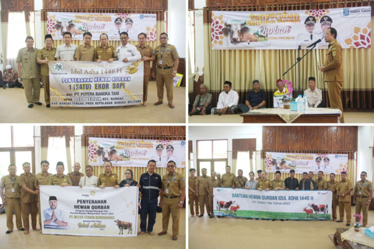 Jelang Idul Adha 1446,Pemkab Bateng Terima Bantuan Sapi Kurban Sebanya 63 Ekor
