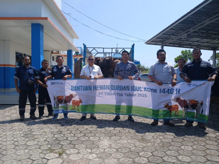 Peringati Idul Adha, PT Timah Bagikan 256 Ekor Hewan Kurban di Empat Provinsi