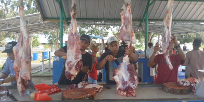 Momen Idul Adha, Karyawan PT Timah Bagikan Daging Kurban Ke warga Kesatuan Islam Tionghoa 