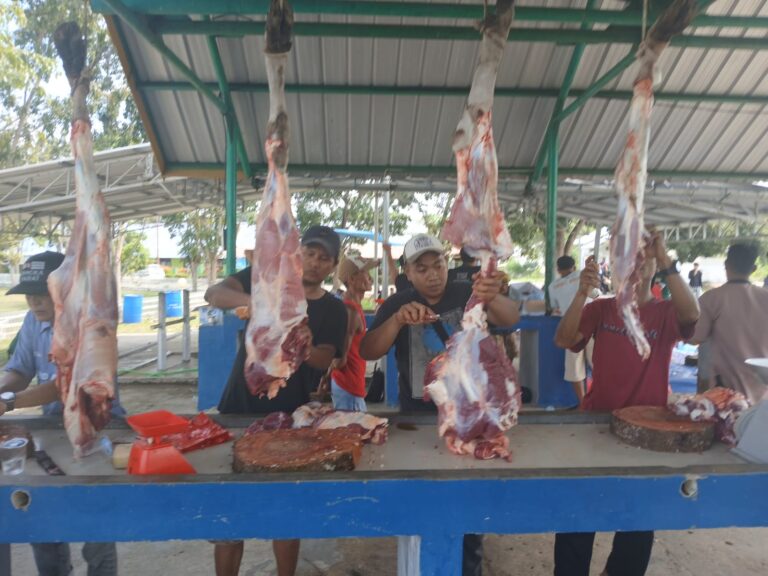 Momen Idul Adha, Karyawan PT Timah Bagikan Daging Kurban Ke warga Kesatuan Islam Tionghoa