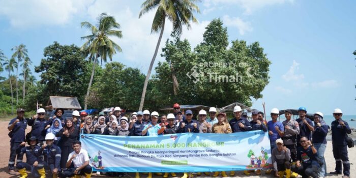 Hari Mangrove Sedunia, PT Timah Tbk bersama Karang Taruna Desa Rajik melaksanakan Penanaman 5.000 pohon mangrove