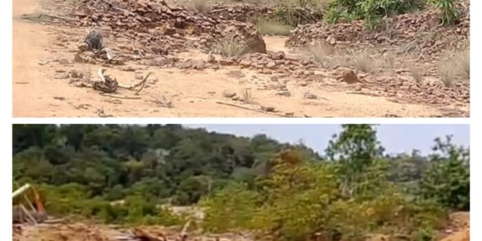 Aktivitas Tambang Ilegal Terekam di Hutan Lindung Belakang Pemda 