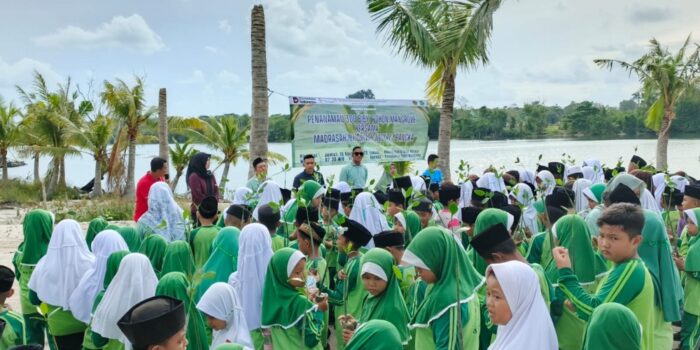 PT Timah Tbk Tanam 300 Mangrove Bersama Pelajar MIN 1 Bangka di Sungailiat