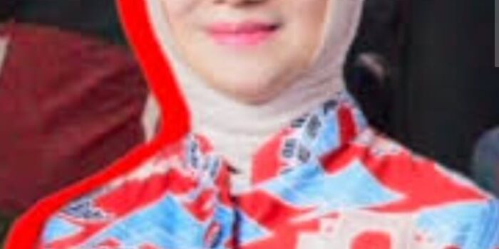 Pengalaman Cece Dessy Perjuangkan Aspirasi Perempuan dan Etnis dalam Pembangunan Kota