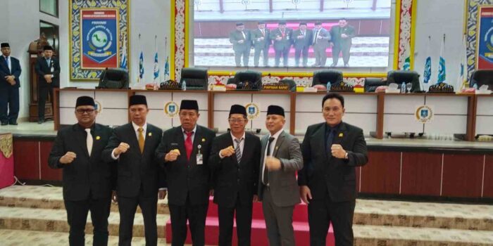 Pernyataan Gubernur Kepulauan Bangka Belitung soal Industri Kelapa dan Investasi