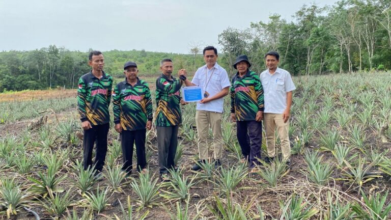 Dukung Pertanian, PT Timah Bantu Kelompok Tani Bina Tani Tailong di Kundur