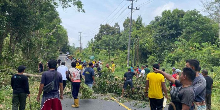 Kapolres Bangka Barat Pimpin Public Service, Bersihkan Jalur Rawan Pohon Tumbang