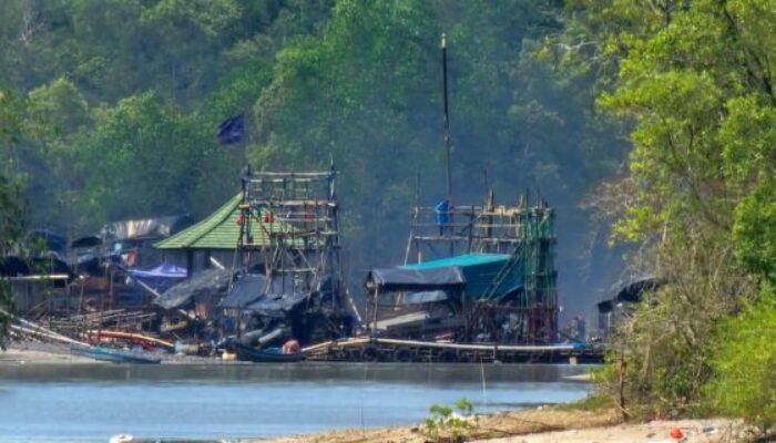 Kualitas Bijih Jadi Penentu Perbedaan Harga Timah di Kalangan Penambang Rakyat