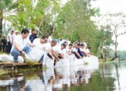 PT Timah Tebar 15 Ribu Bibit Ikan di Kolong Bekas Tambang di Bangka