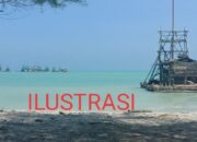 Lewat Kemitraan PT Timah, Penambang Rakyat Tak Lagi Takut Razia