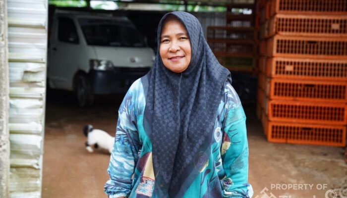 Berkat Dukungan PT Timah, Afri Sukses Usaha Ayam Potong