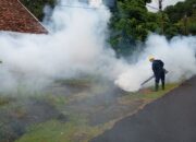 PT Timah Intensifkan Fogging untuk Cegah DBD di Area Operasional