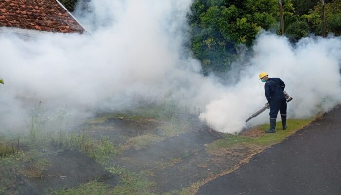 PT Timah Intensifkan Fogging untuk Cegah DBD di Area Operasional