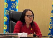 Tata Kelola Jamkrida Disorot, Elvi Diana Desak Pergantian Direksi “Jangan Tutupi Akar Masalah”