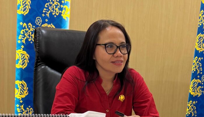 Tata Kelola Jamkrida Disorot, Elvi Diana Desak Pergantian Direksi “Jangan Tutupi Akar Masalah”
