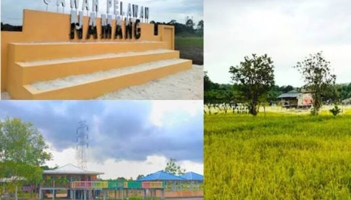 Disorot Isu Pungli PKL, Kades Namang Tegaskan Iuran Wisata Sawah Berdasar Musdes