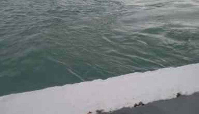 Ponton Ilegal Nekat Lewati Jalur Feri Tanjung Kalian, Keselamatan Bisa Terancam