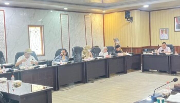 Maryam Soroti Naskah Akademik Ranperda Tambang Babel