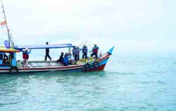 PT TIMAH Tenggelamkan 1.920 Terumbu Buatan untuk Pulihkan Ekosistem Laut Babel